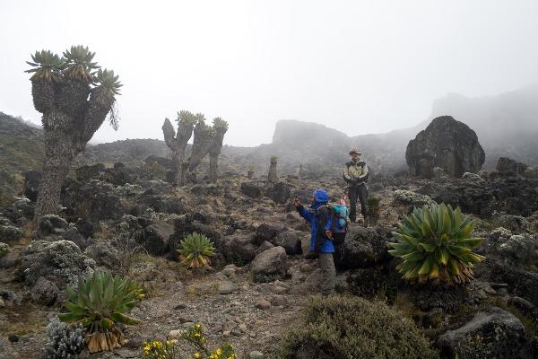 atmospheric_perspective_factors_kilimanjaro_mist