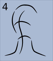 howToDrawHead34backview04