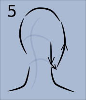 howToDrawHead34backview05
