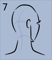 howToDrawHead34backview07