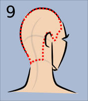 howToDrawHead34backview09